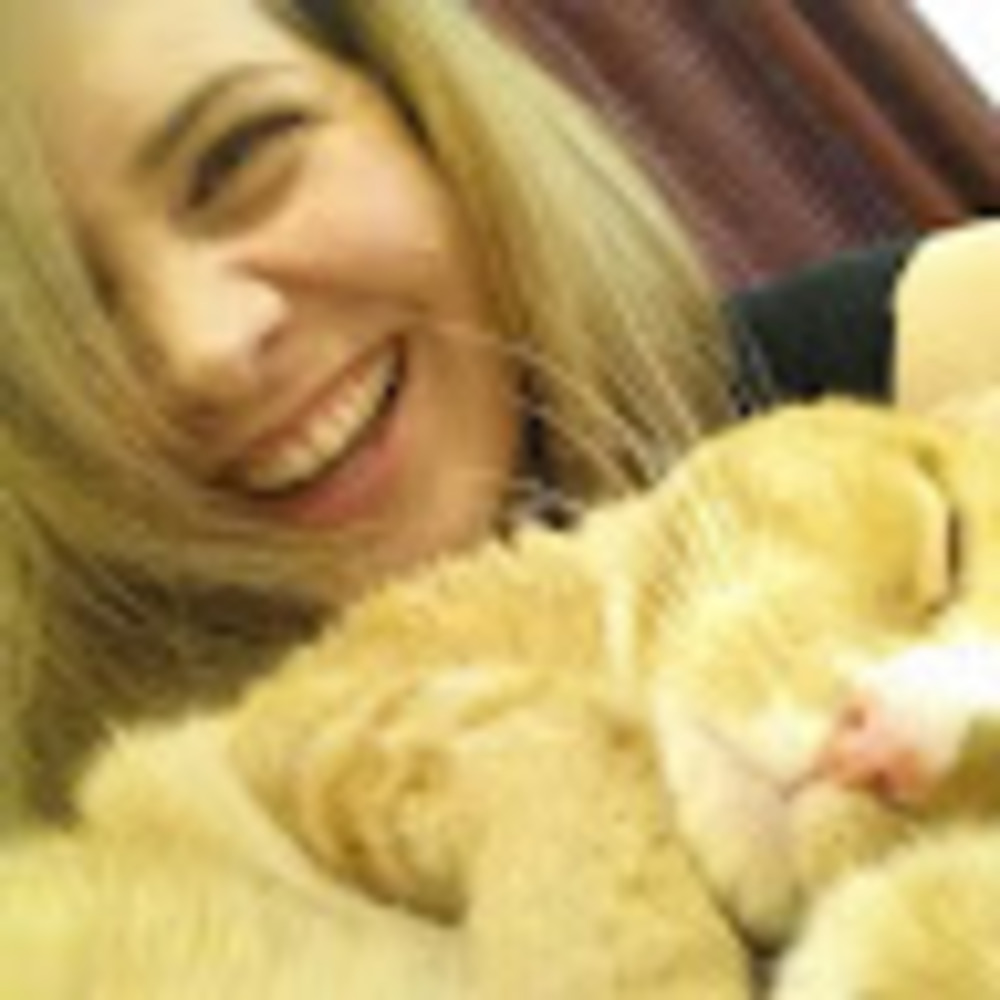 Meet your Posher, Kitty